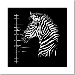 Zebra Majestic Mares Posters and Art